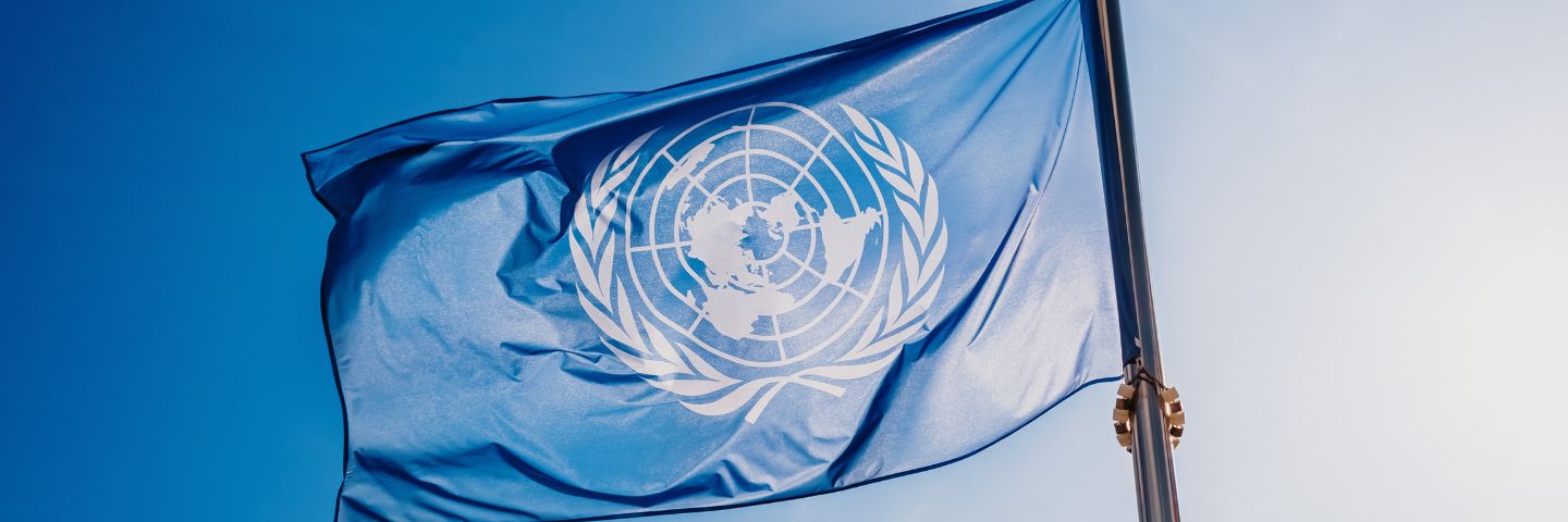 Organización de las Naciones Unidas.